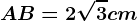 AB = 2\sqrt3cm