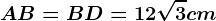 AB = BD =12\sqrt3 cm