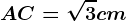 AC=\sqrt3cm