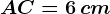 AC= 6\, cm