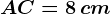 AC= 8\, cm