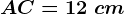 AC=12\ cm