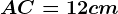 AC=12 cm