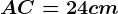 AC=24cm