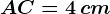 AC=4\, cm