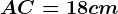 AC = 18 cm
