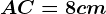 AC = 8cm