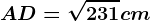 AD=\sqrt231cm