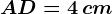 AD= 4\, cm