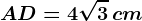 AD= 4\sqrt3\, cm