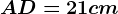 AD=21 cm