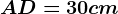 AD=30 cm