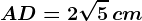 AD = 2\sqrt5\, cm