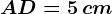 AD = 5\, cm