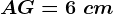 AG=6\ cm