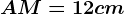 AM= 12 cm