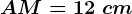 AM=12\ cm