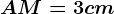 AM=3 cm