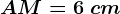 AM=6\ cm