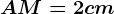 AM = 2cm