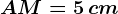 AM = 5\, cm