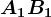 A1B1