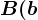 B(b;-7)