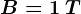 B= 1 \: T