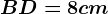 BD= 8 cm