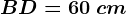 BD=60\ cm
