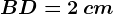 BD = 2\, cm