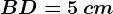 BD = 5\, cm