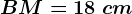BM=18\ cm
