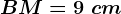 BM=9\ cm