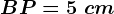 BP=5\ cm