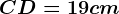 CD=19cm