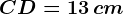 CD = 13\, cm