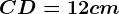 CD =12 cm