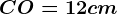 CO=12cm