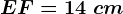 EF=14\ cm