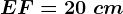 EF=20\ cm