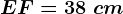 EF=38\ cm
