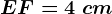 EF=4\ cm