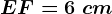 EF=6\ cm