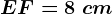 EF=8\ cm