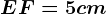 EF = 5 cm