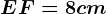 EF = 8 cm