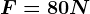 F=80 N
