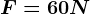 F = 60N