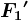 F1'